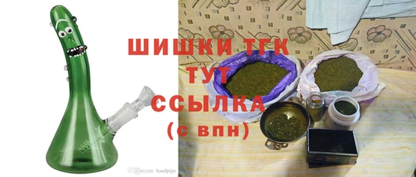 хмурый Каменногорск
