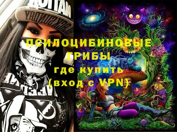 хмурый Каменногорск