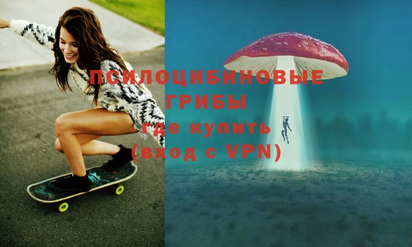марки nbome Каменка