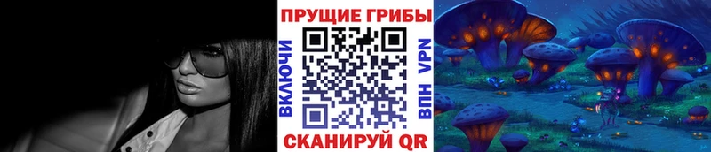 Псилоцибиновые грибы Psilocybe  Купить закладки  Петровск 